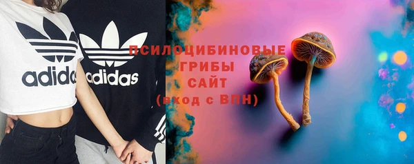 a pvp Алзамай