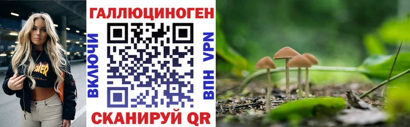 Псилоцибиновые грибы Psilocybine cubensis ссылка на мегу как войти Волоколамск