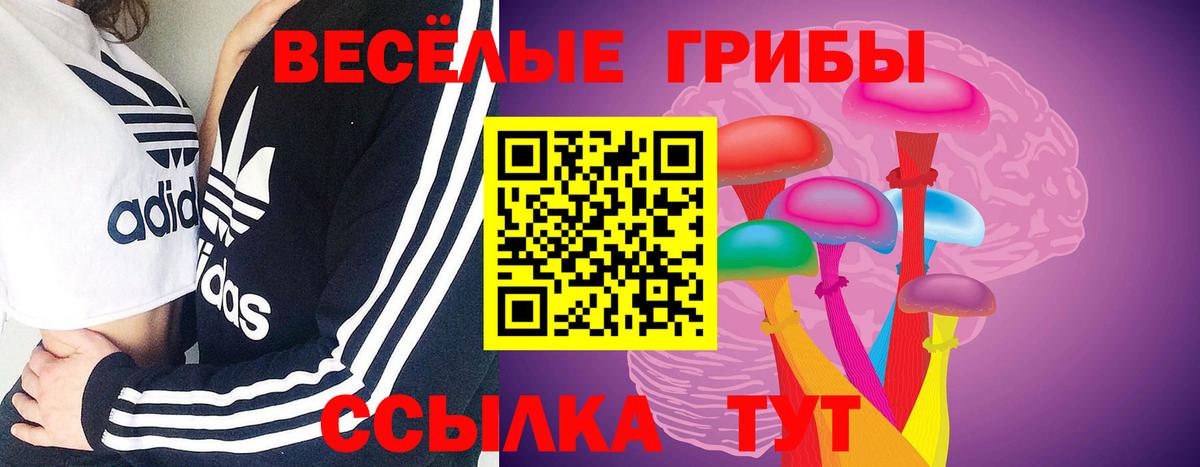 магазин  наркотиков  Вход с VPN  Псилоцибиновые грибы MAGIC MUSHROOMS  Волоколамск  Псилоцибиновые грибы GOLDEN TEACHER 